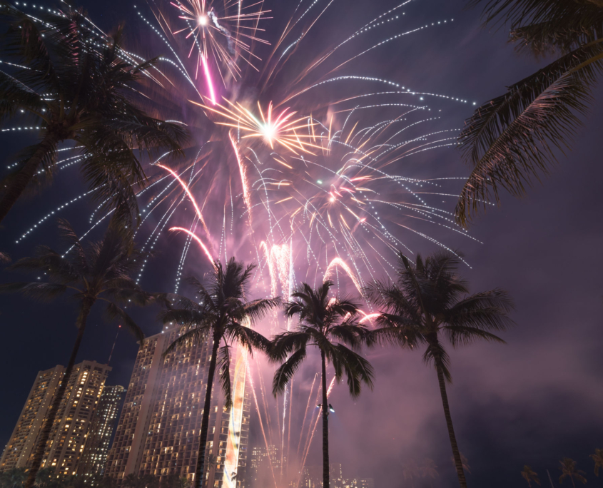 Fireworks over palm trees in the evening